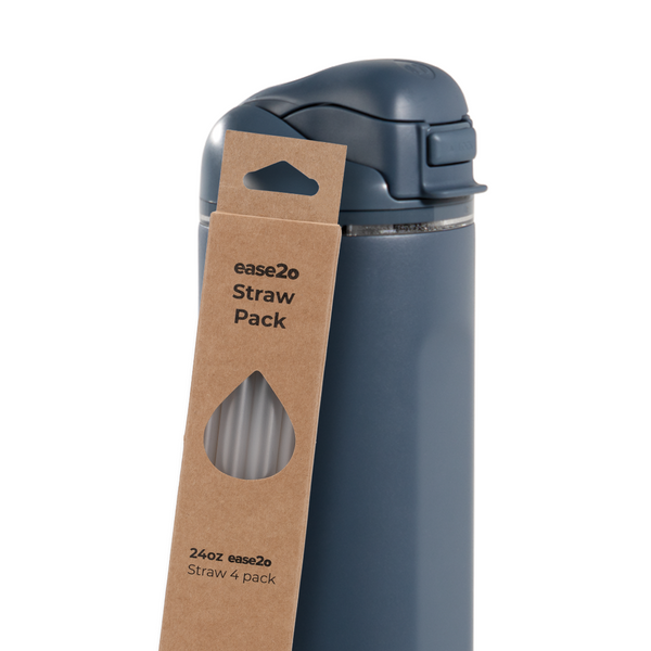 Ease2o Straws 4 Pack 24oz v8218